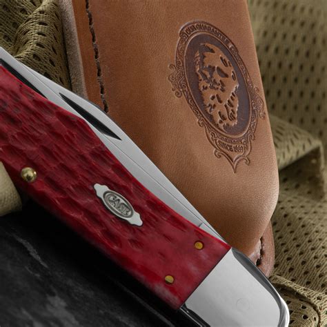 Case Folding Hunter Dark Red Bone Folding Knife