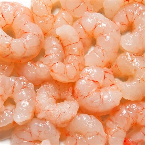 Order Frozen Pacific Shrimp Meat Online – 5 lbs of Cooked, Deveined ...