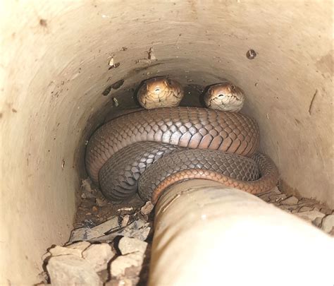 Beaver Dick Park - RexburgFun