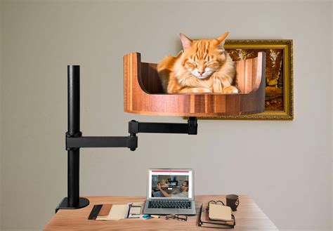 Why Do Cats Lay on Your Feet: Understanding Their Behavior – Desk Cat Nest