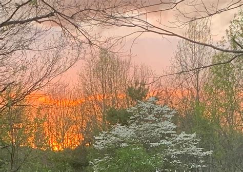 Lake James Campground in Lake James State Park, North Carolina: Reviews ...