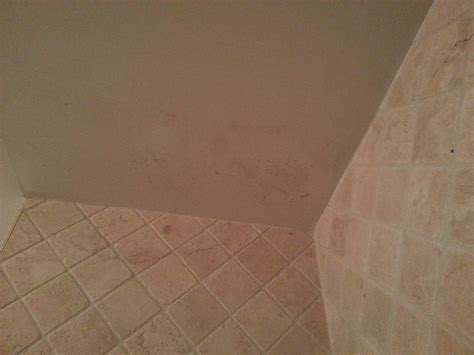 Painting Mildew Bathroom Ceiling | Shelly Lighting