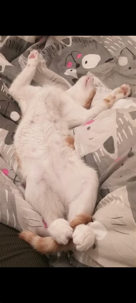 Sleeping like a baby.. : r/noodlebones