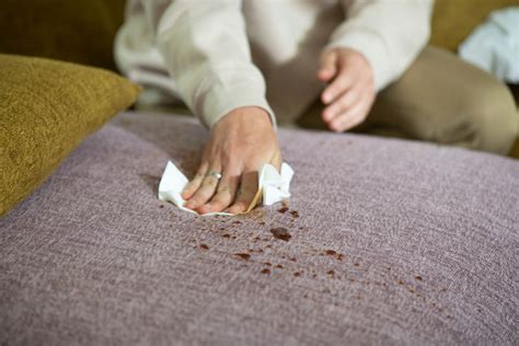 How to Remove Tough Stains from Your Sofa? A Complete Guide