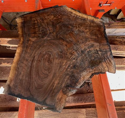 Walnut Wood Slab 30" x 25 1/2" x 1 1/2" - Frison-Logue Hardwoods