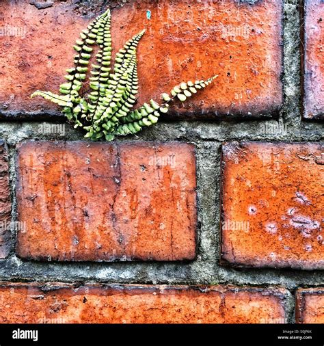 Nature versus man hi-res stock photography and images - Alamy