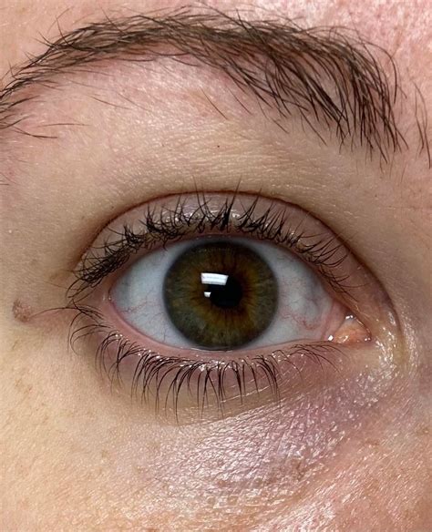 Please tell me what color my eyes are : r/eyes