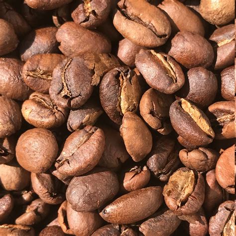 Fresh roasted coffee beans near me - silentroden