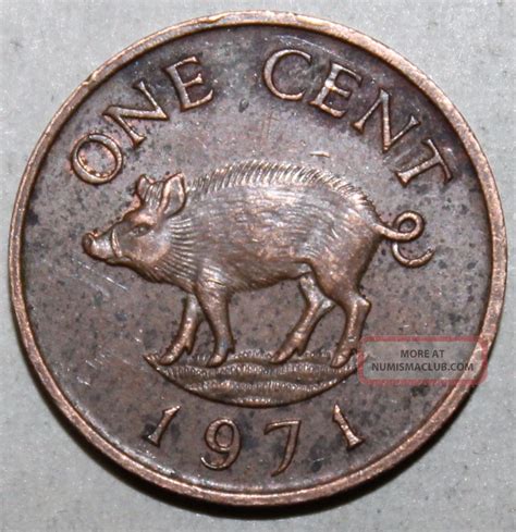 Bermuda One Cent Coin, 1971 - Km 15 - Elizabeth Ii - Wild Boar - 1 Penny