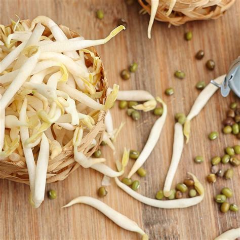 Yee Soon Leong Beansprout - Fresh, Local, Reliable Supply