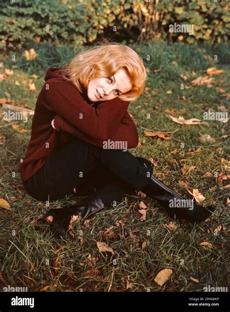 ANN-MARGRET in CARNAL KNOWLEDGE (1971), directed by MIKE NICHOLS ...