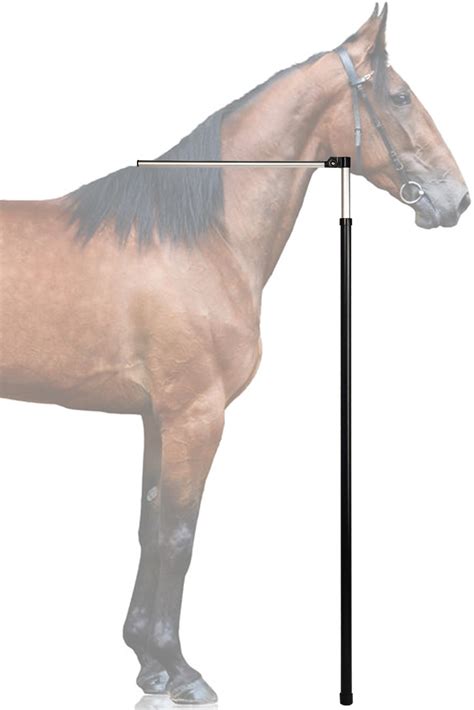 KUNBEIEN Horse Measuring Stick, Horse Height Pole, Accurately Measure ...