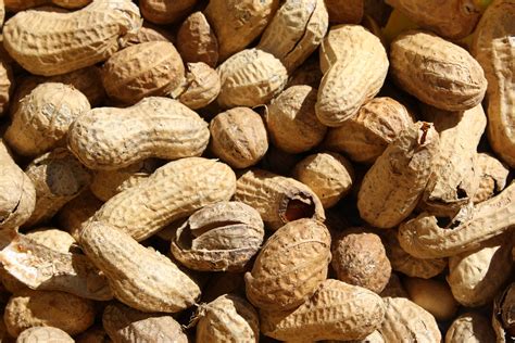 What Does Roasted Peanuts Mean at Alonzo Caraway blog
