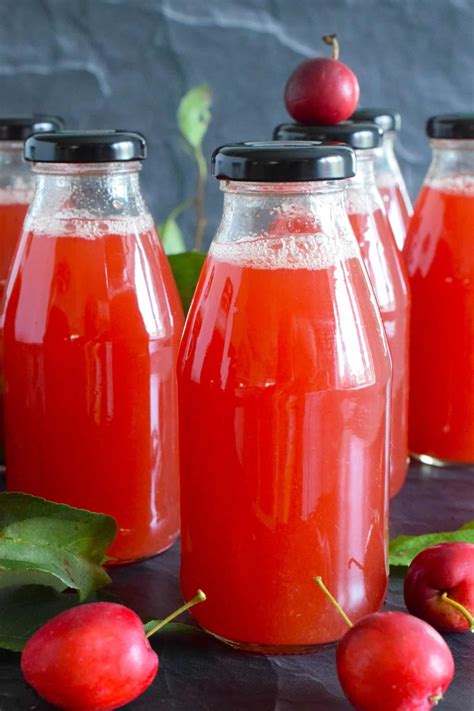 Canned Crab Apple Cider - Lord Byron's Kitchen