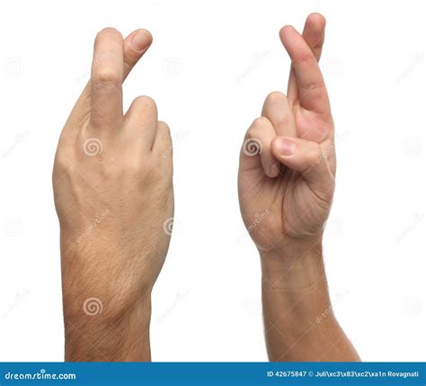 Finger Crossed Hand Sign, Good Luck Symbol Isolated On White. Crossed ...