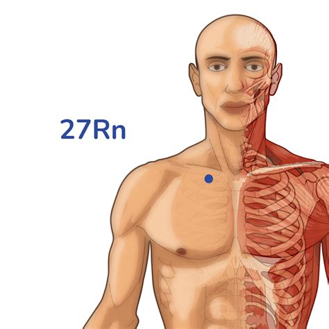 Punto de acupuntura de shufu (27 rn) - Meridian renal