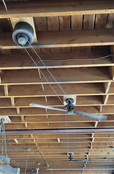 Diy Belt Driven Ceiling Fans | Shelly Lighting