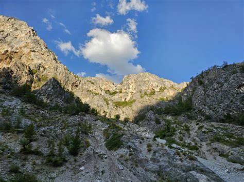 Big Tits Moms Photos, Download The BEST Free Big Tits Moms Stock Photos ...