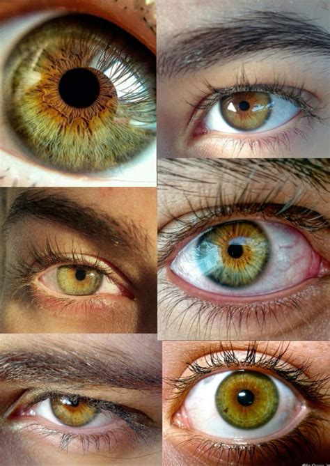 hazel eyes 💚🤎 | Hazel green eyes, Beautiful eyes color, Eye color chart