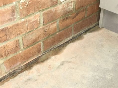 Damp Garage Floor - Flooring Tips