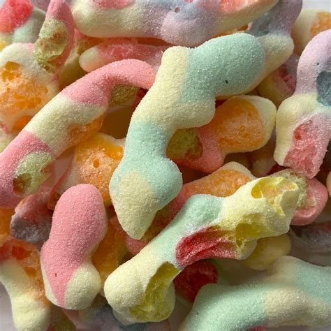 Freeze Dried Lizards - Arctic Treats