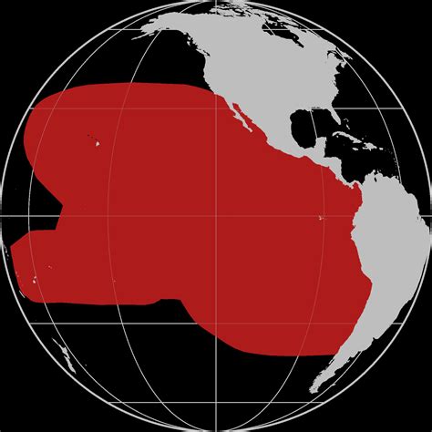 The State of Sea Turtles in the East and Central Pacific Ocean — The ...
