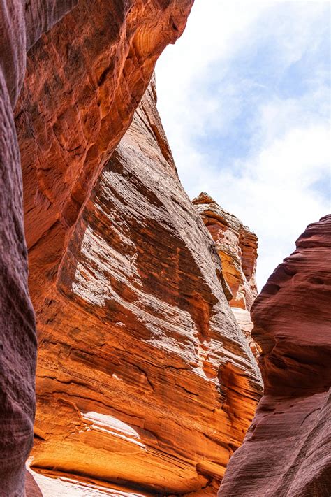 DAVE RAMSEY FINANCIAL COACH WEBINAR