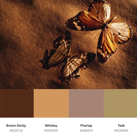 Shades of Brown 🎨 343 Color Names, Hex, RGB, CMYK Codes