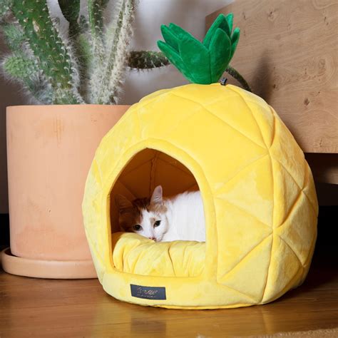 Pineapple Shape Bed for Dog & Cat - Best Designer Dog Bed – Nandog Pet ...