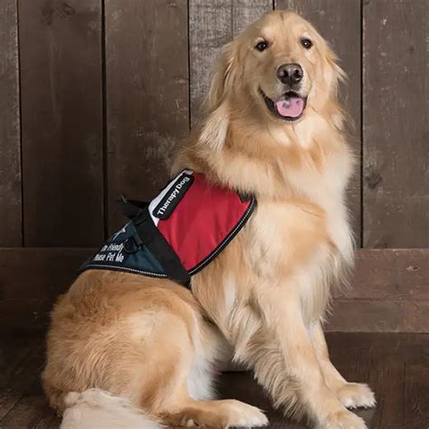 About Us - Anderson Winfield Funeral Home