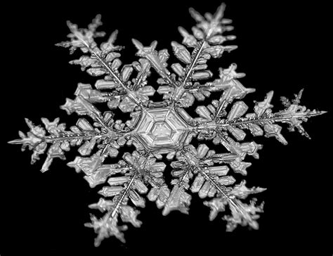 Colorado doctor Jason Persoff captures close-up photos of snowflakes - Axios Denver