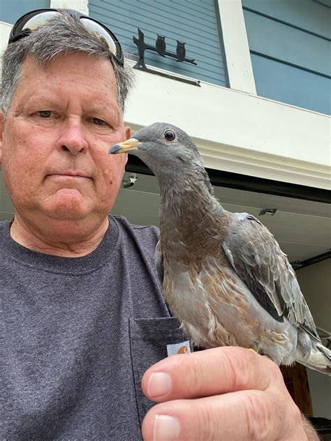 What is this beast and why is it so comfortable chilling on my dad’s hand? He found it in his ...