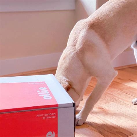 Does Chick-fil-A Hire 14 And 15 Year Olds In 2025? The Complete Guide - ExpertBeacon