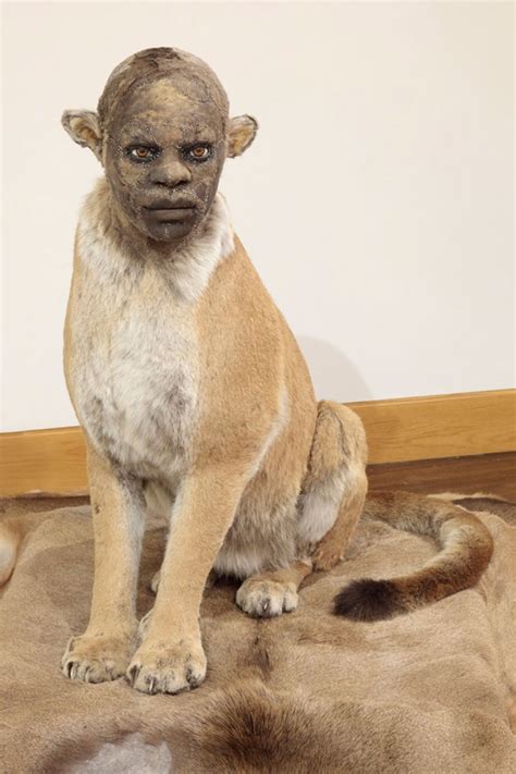 Human Taxidermy Legal