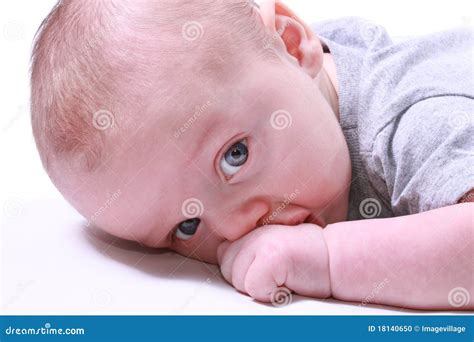 Baby sucking his hand stock photo. Image of infancy, beautiful - 18140650