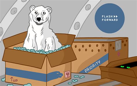 Should We Put Polar Bears In Antarctica? | Flash Forward