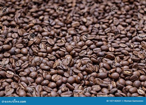Freshly Roasted Coffee Beans, Medium Roast Close-up Stock Image - Image ...