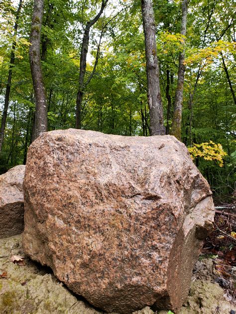 Big Rock In Forest Free Stock Photo - Public Domain Pictures