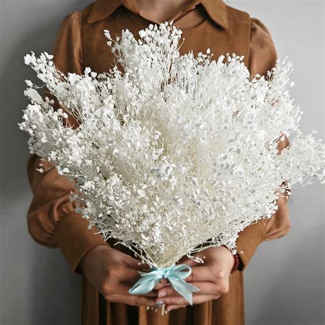 Amazon.com: Dried Baby's Breath Flowers Bouquet - 3500+ Pure White Dry ...