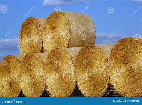 Straw Bales On Farmland. Bale Of Straw. Straw Bales. Selective Focus ...