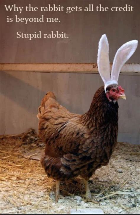 Pin by Joanna Slade on Easter | Easter humor, Funny easter pictures ...