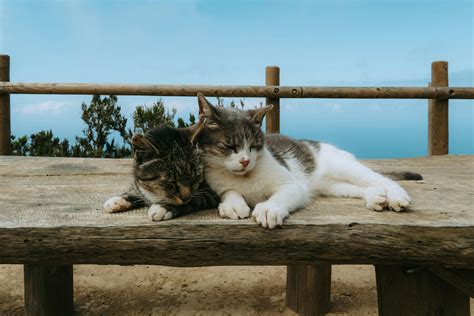 Slow+Penetration+Gif Photos, Download The BEST Free Slow+Penetration+Gif Stock Photos & HD Images