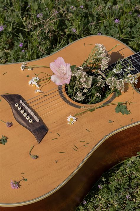 Photos - Chris Alfaro