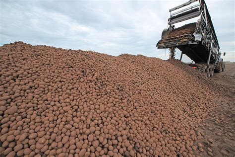 'Energiecrisis: prijzen stijgen, behalve teeltcontracten' - Boerderij