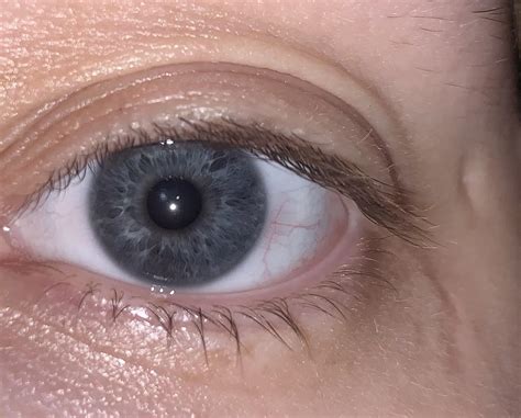 Gunmetal Blue Eye Color.