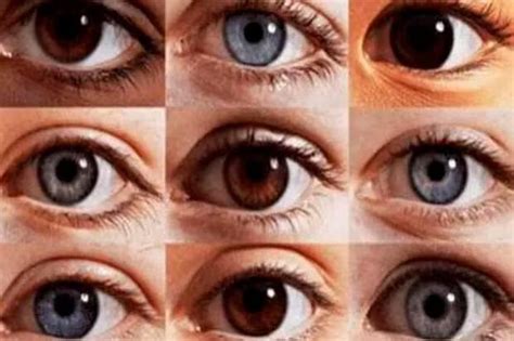 ¿De qué color son tus ojos? Este test visual revela rasgos de tu ...