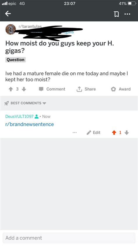 Death by #moist – Bizarre Sentence Births