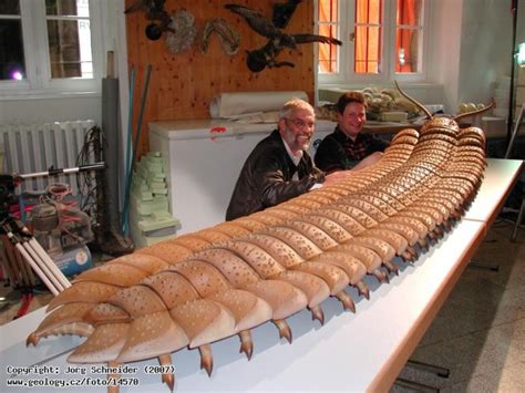 Arthropleura armata. | Prehistoric animals, Prehistoric creatures ...