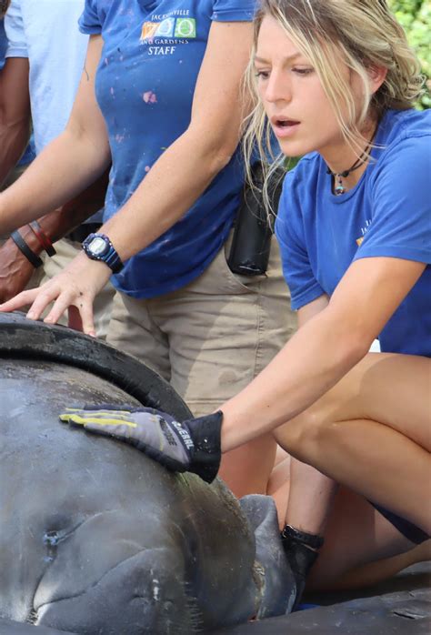 Jacksonville Zoo and Gardens Wild Magazine Spring 2023 by Jacksonville ...