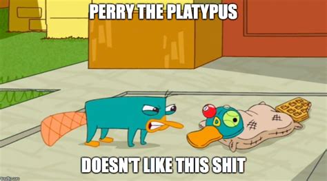 Perry the Platypus Doesn't Like to be Mocked - Imgflip
